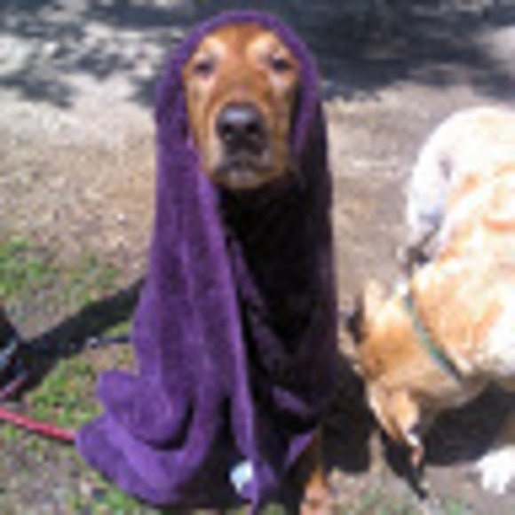 Meet your Posher, Jk - Picture 1 of 1